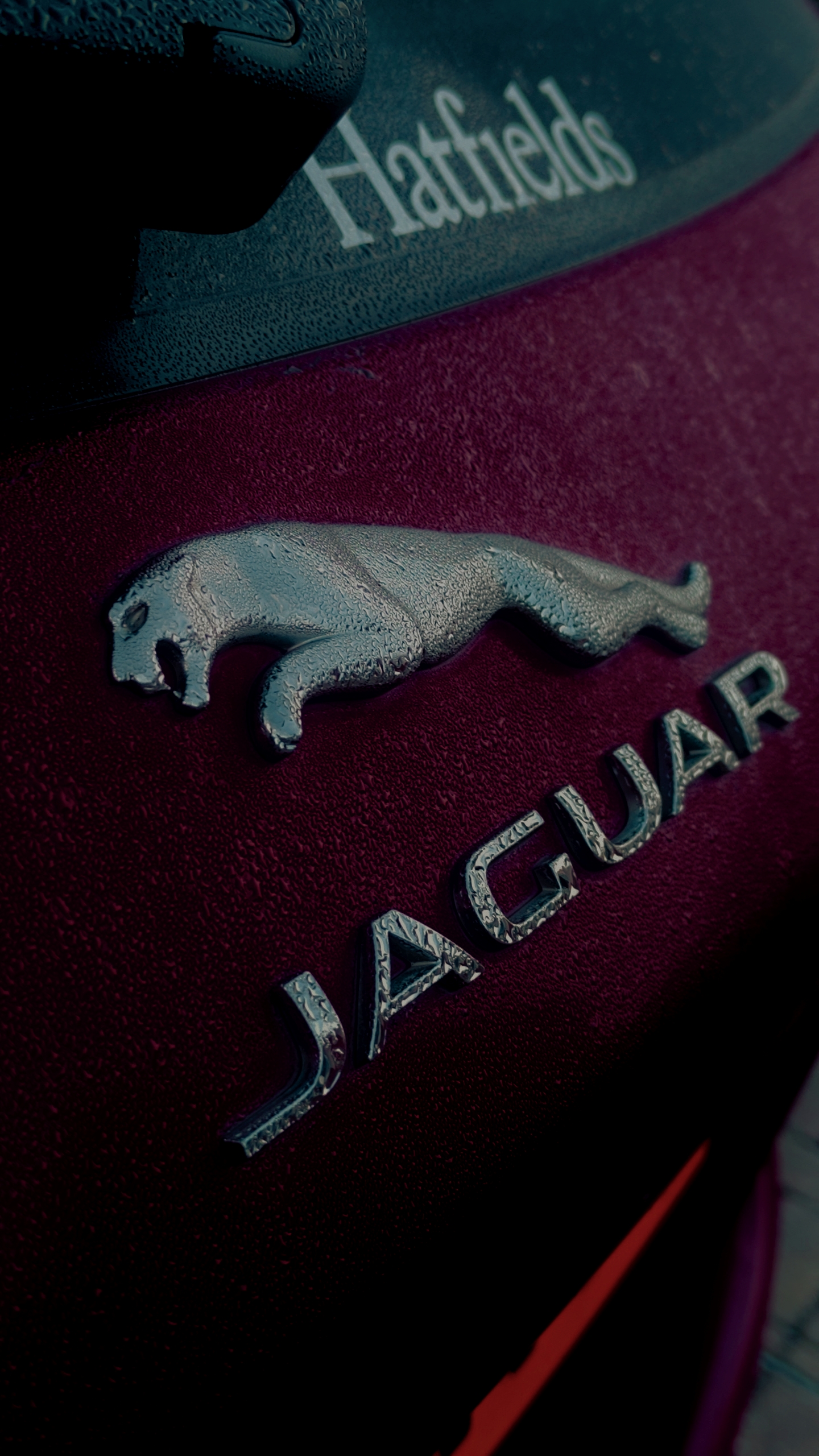 Jaguar Logo