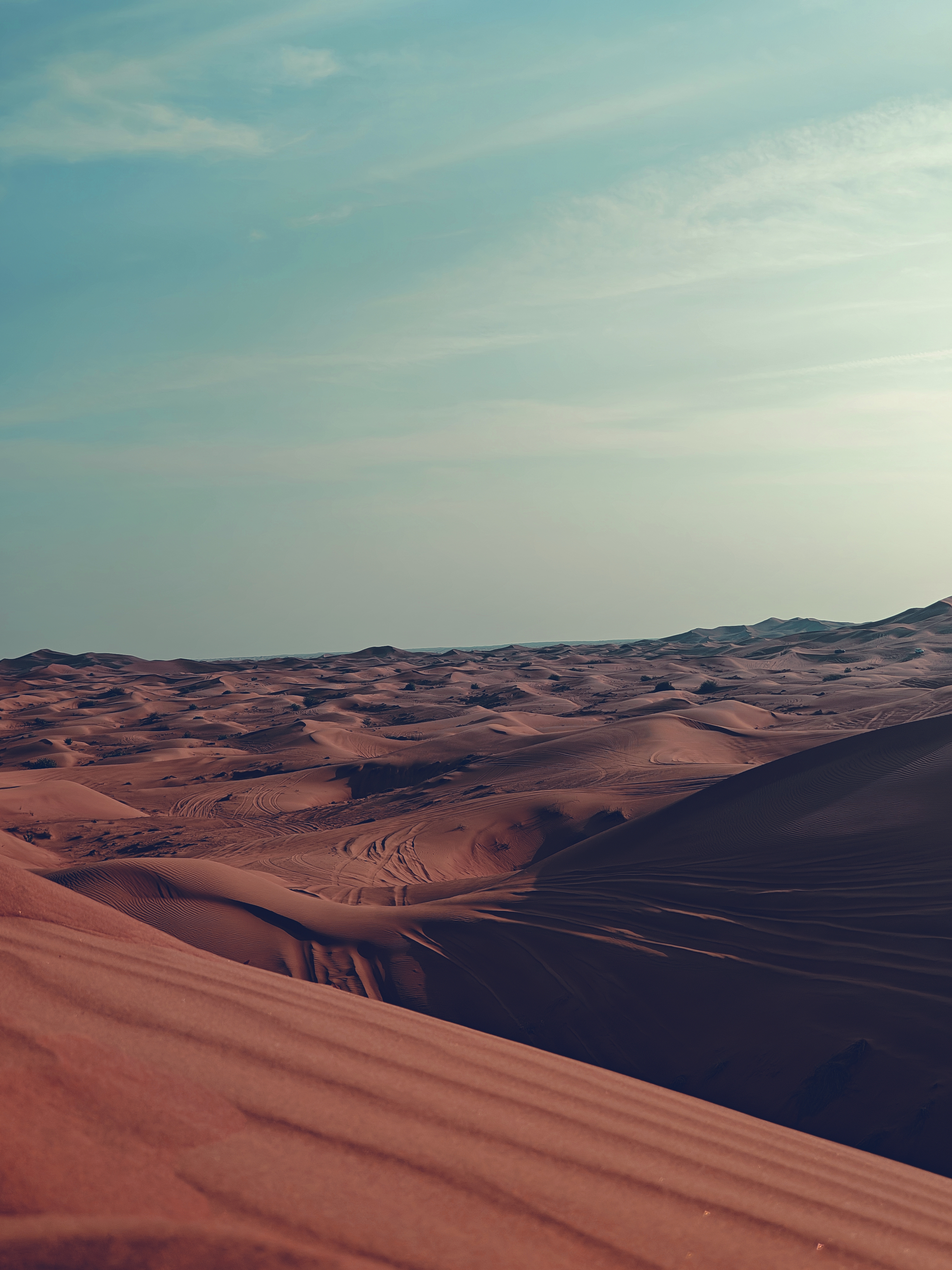 UAE Deserts